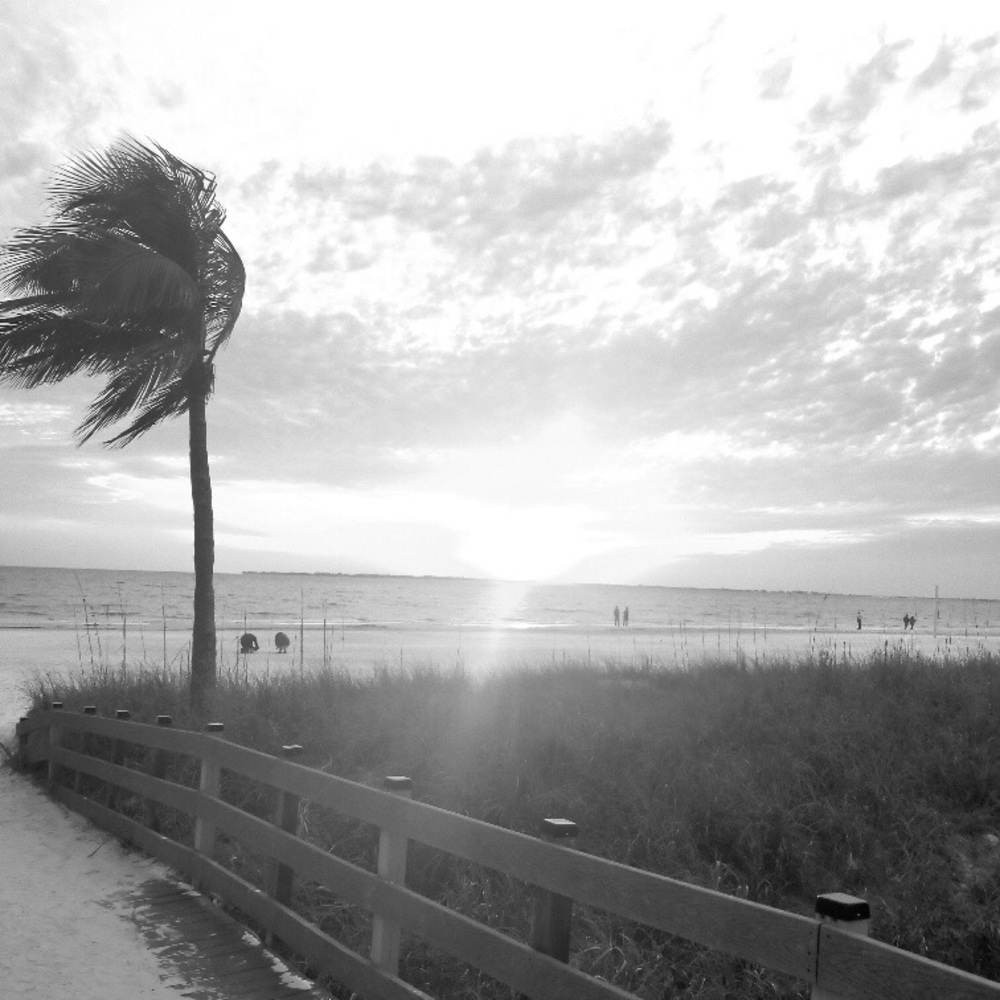 Meet your Posher, Emilee